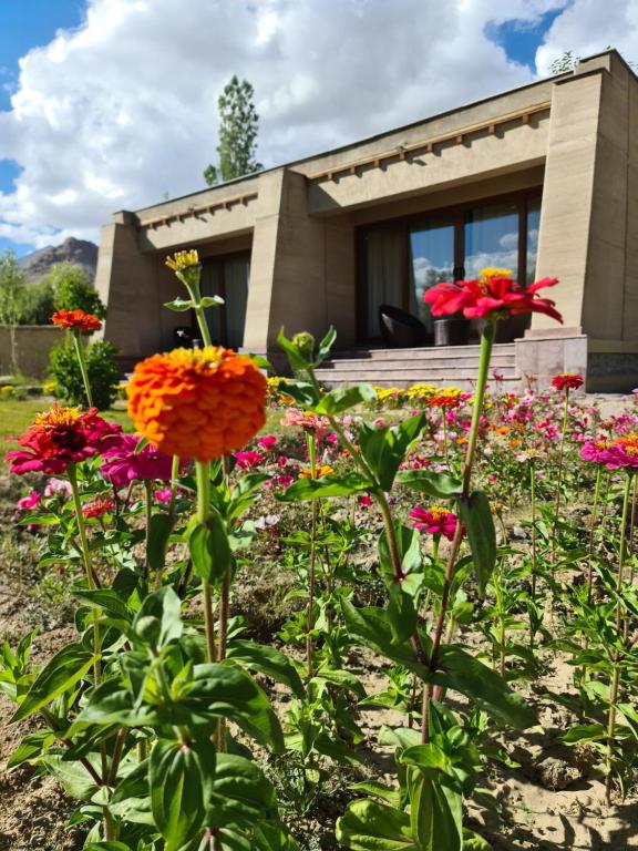 列城Ladakh Eco Resort的一座花园,在一座建筑前种有鲜花