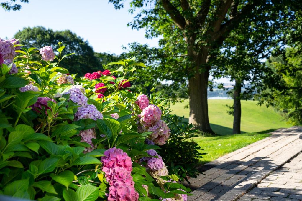 斯坎讷堡斯坎讷堡公园酒店的一座种植了粉红色花卉的花园
