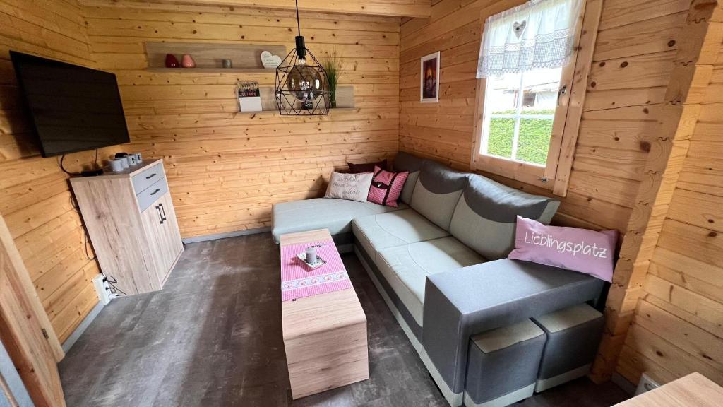 MuldenbergHaeuslein-Waldesruh的一间小屋内配备有沙发和电视的客房