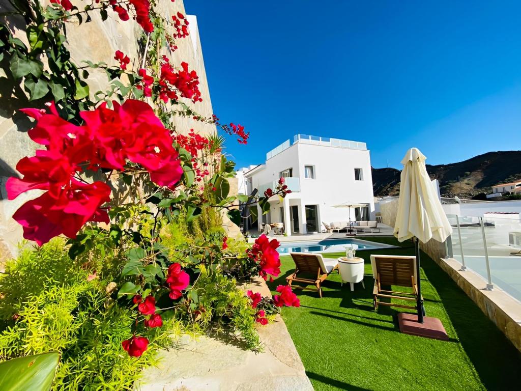 莫甘Escape to paradise luxury Poolvilla with ocieanview near Amadores的一座花园,在一座建筑的一侧种有红色花卉
