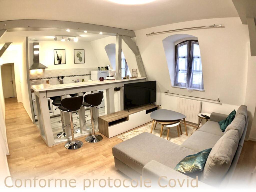 鲁昂La Tour de Jeanne : Hypercentre charme et design的带沙发的客厅和厨房