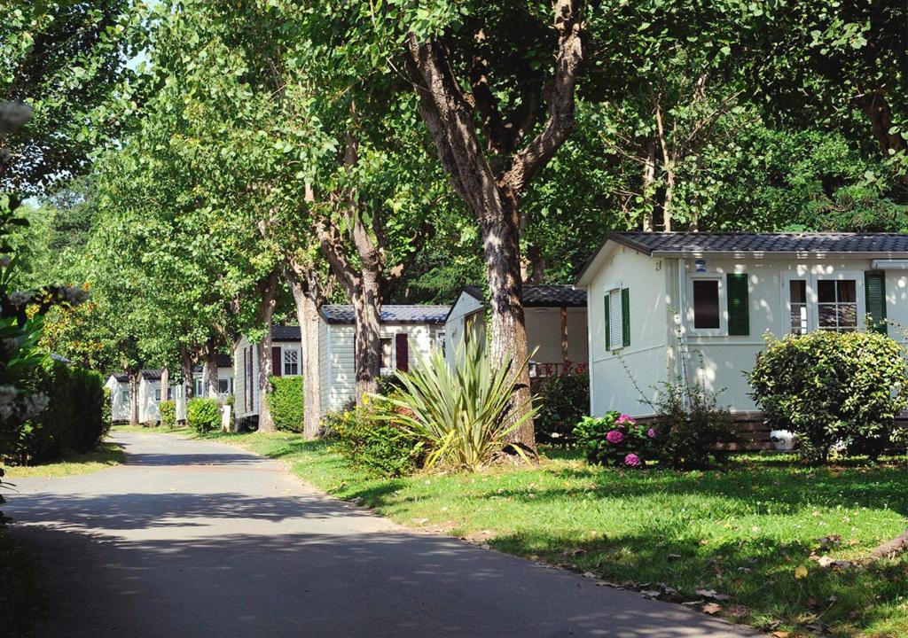 亚斯凯恩Camping ZELAIA的房屋和有树木的道路