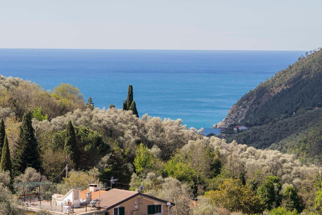 莫内利亚CASA VACANZA IL PORTICO的一座山丘上的房屋,背景是大海