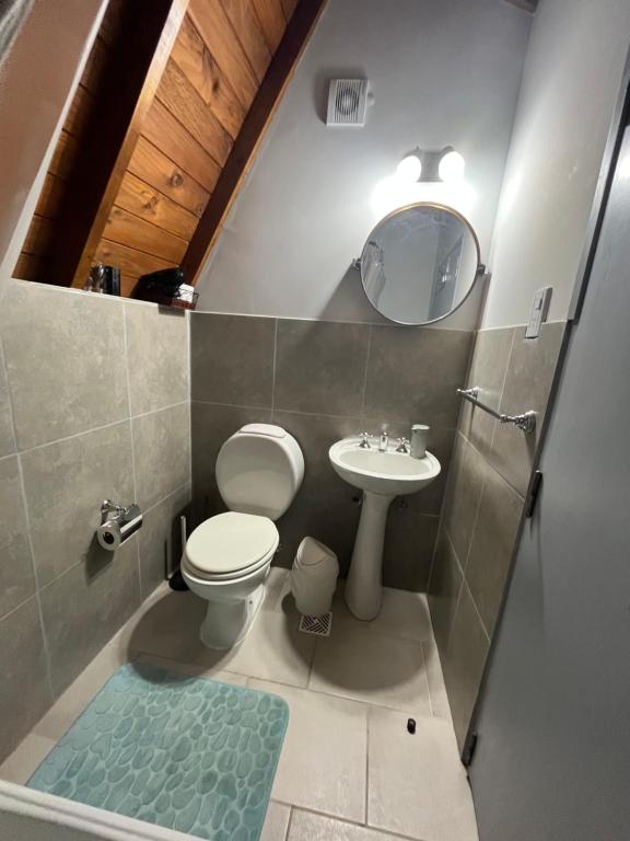 乌斯怀亚del ANDINO.USH的一间带卫生间、水槽和镜子的浴室