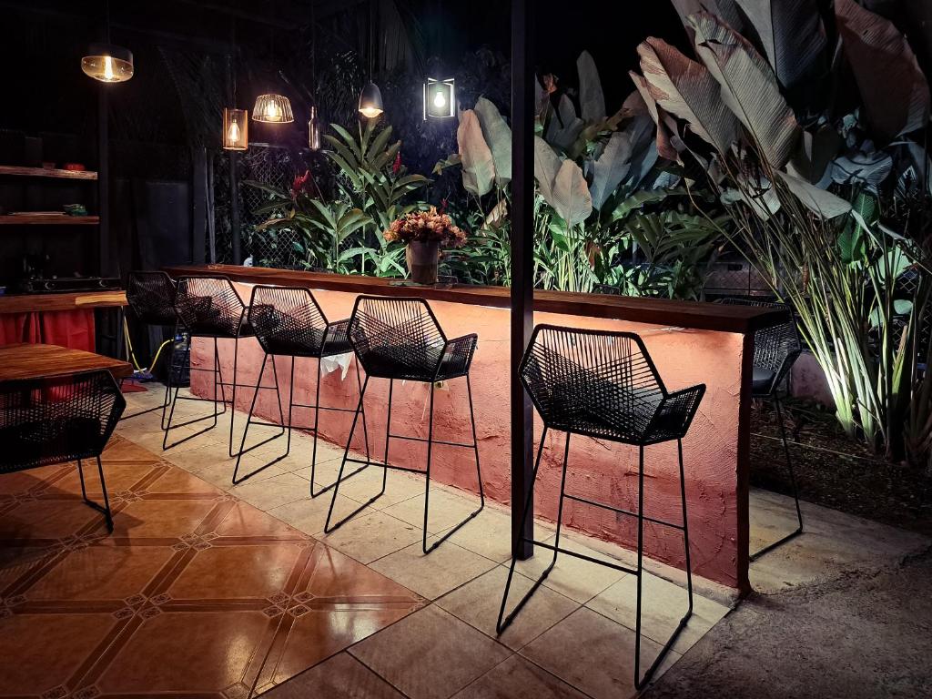 乌维塔CASA FOTR LOCO的餐馆里一排椅子和酒吧