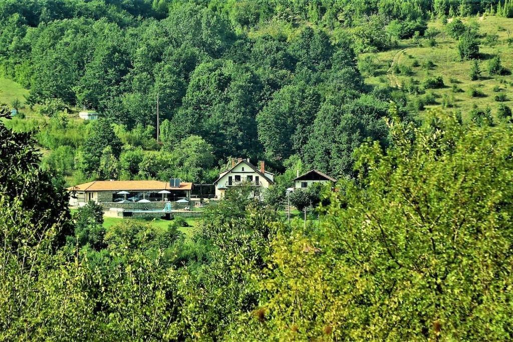 Tsareva LivadaVilla “Nadezhda”的山丘中间的树木房子