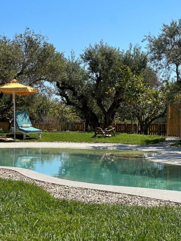 瓦西里科斯THIRES Guesthouse的一个带遮阳伞的草地游泳池