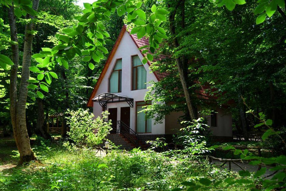 库萨雷Qusar Olimpik Hotel and Cottages的树林中带红色屋顶的白色房子