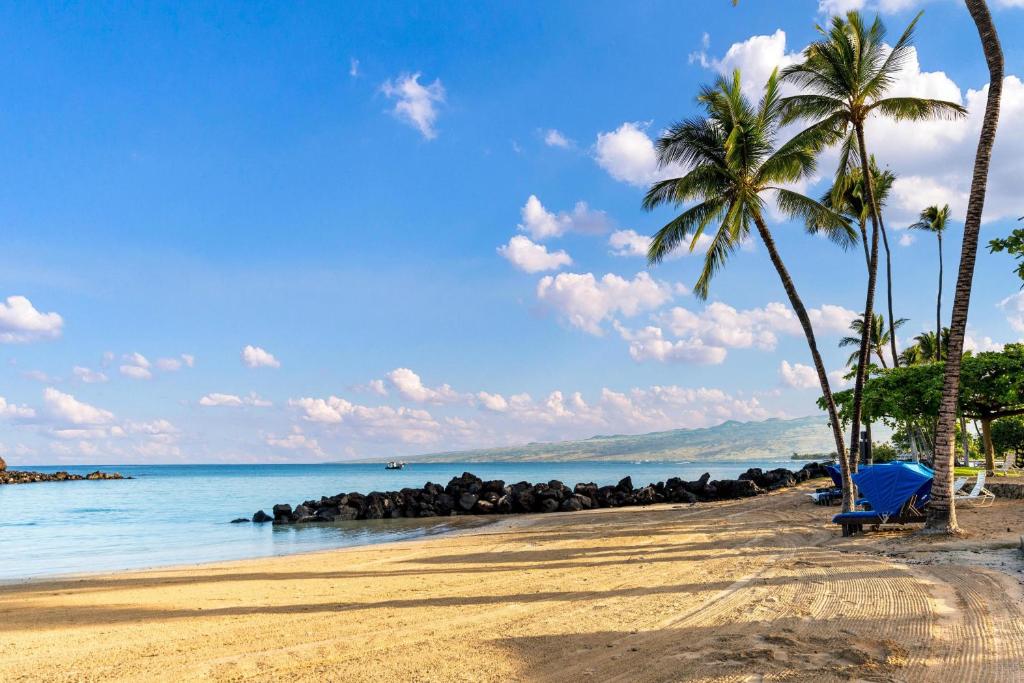 KawailiulaFairways at Mauna Lani #1703的一片棕榈树和海洋的海滩