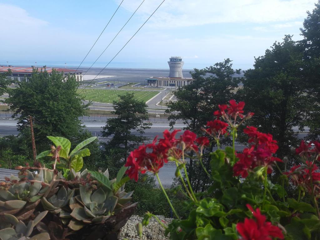 CANOKA SUIT的享有灯塔的景观,前方有鲜花