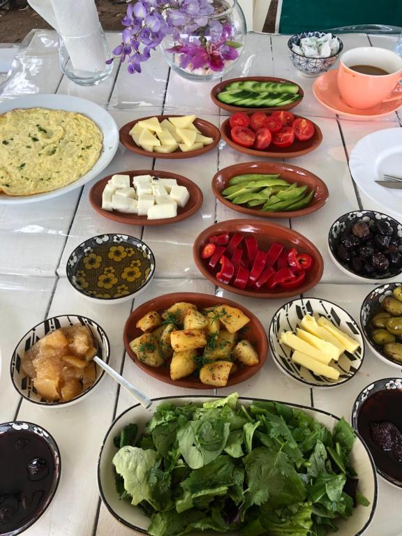 契拉勒Çıralı Marina Loft的一张桌子上放着许多盘子的食物