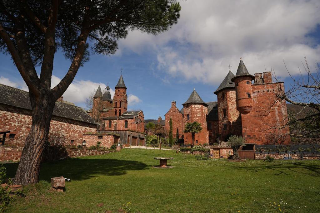 科隆热Château de Vassinhac chambres d'hôtes Collonges la rouge的一座古城堡,在田野里有塔楼和一棵树