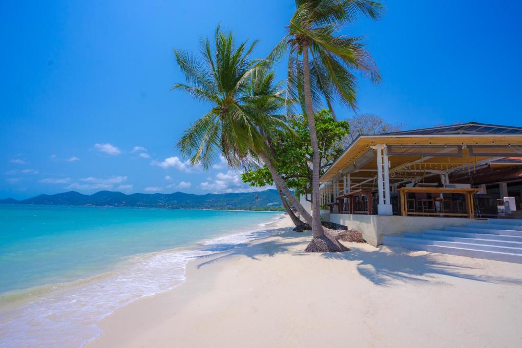 查汶Chaweng Regent Beach Resort的棕榈树和海洋海滩上的度假村
