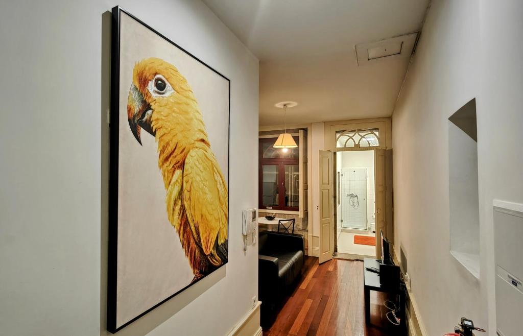波尔图Discovery | Porto-Flores的挂在墙上的黄色鹦鹉画