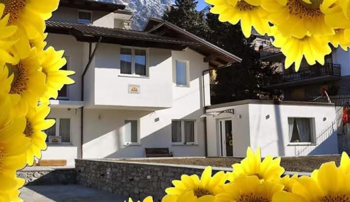 圣文森特Il Girasole的前面有黄色向日葵的房子