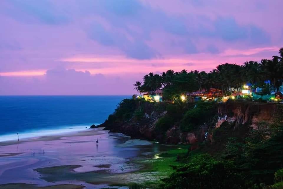 瓦尔卡拉SAND BEACH HOUSE VARKALA的享有海滩的夜间景致