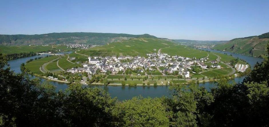 MinheimFewo-Minheim Waltraud und Franz Bayer的河畔小山上的小城镇