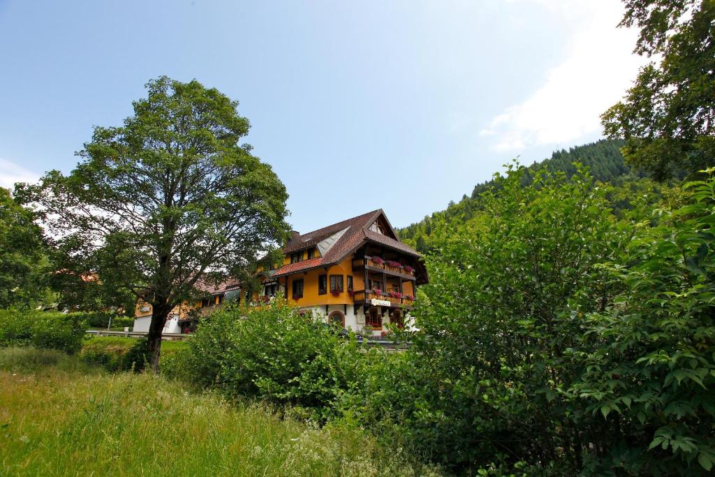 托特瑙希斯申酒店的山丘上的房子,前面有一棵树