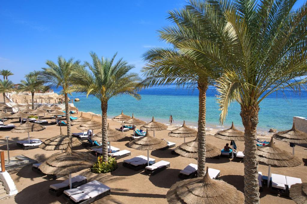 沙姆沙伊赫Sunrise Montemare Resort -Grand Select的海滩上拥有遮阳伞和棕榈树,还有大海