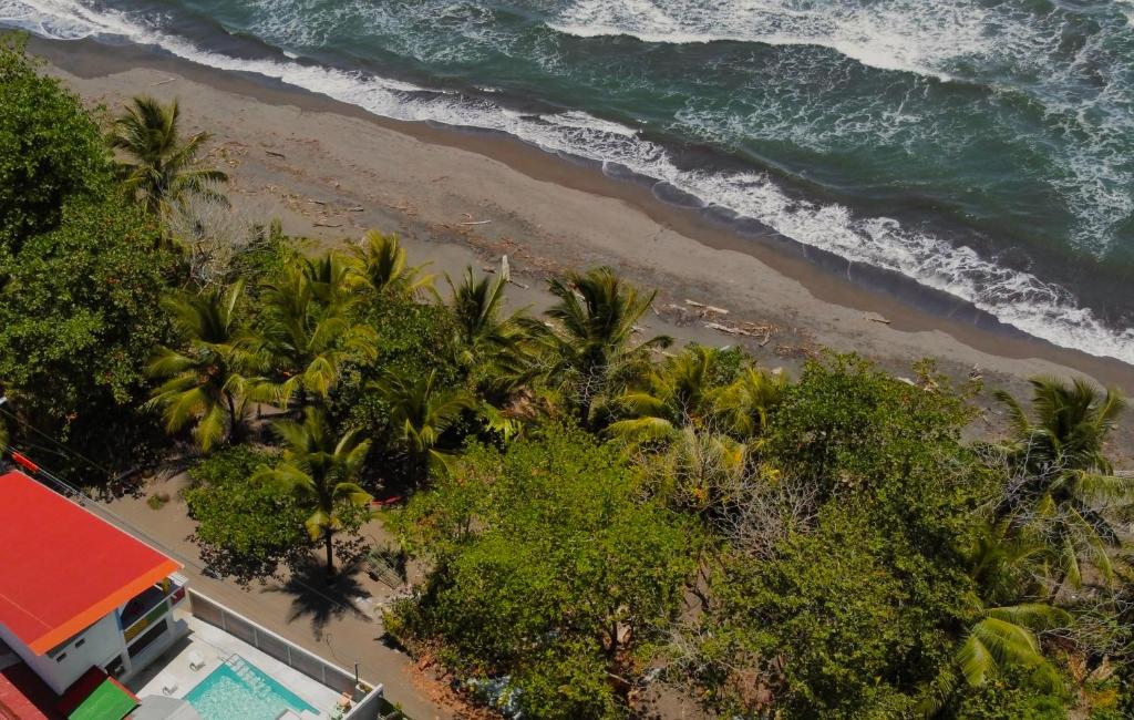 托尔图格罗Hotel El Icaco Tortuguero的棕榈树海滩的空中景致