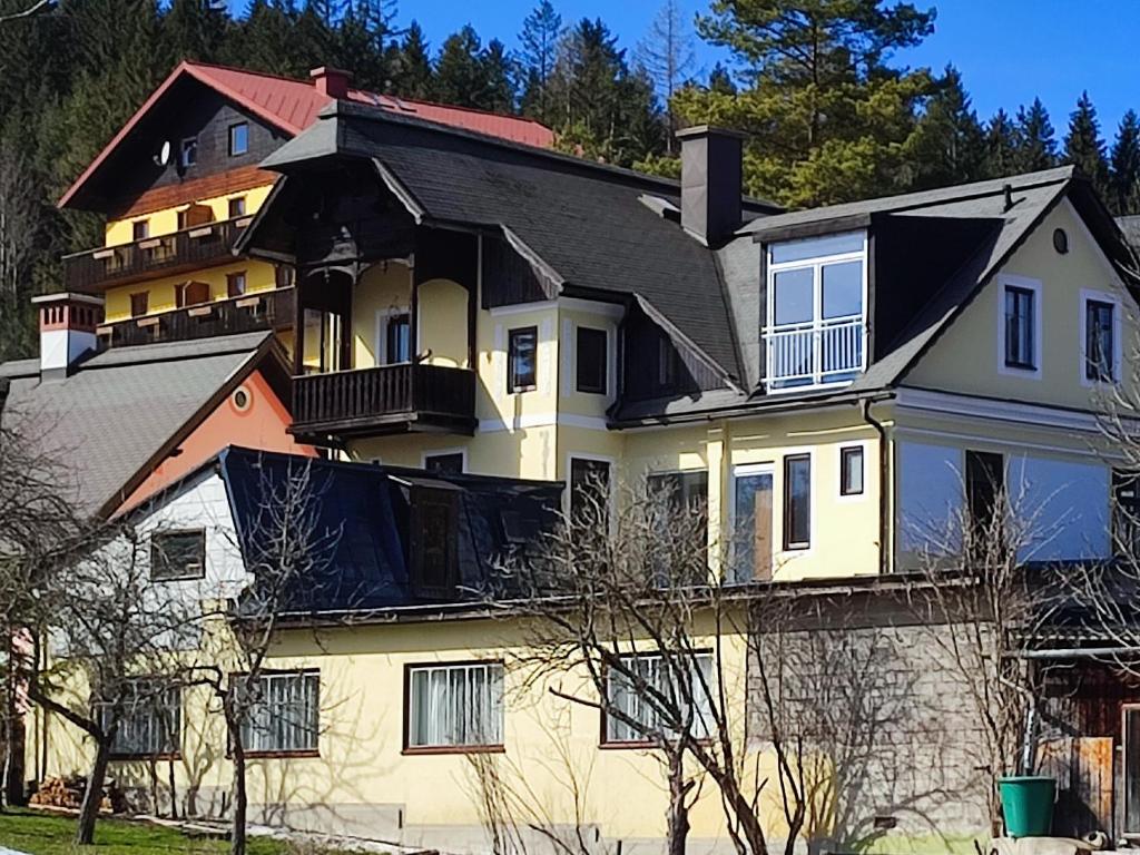 米特尔巴赫Nur 3 Min zu Skilift & 5Min zum See的黑色屋顶的大型白色房屋