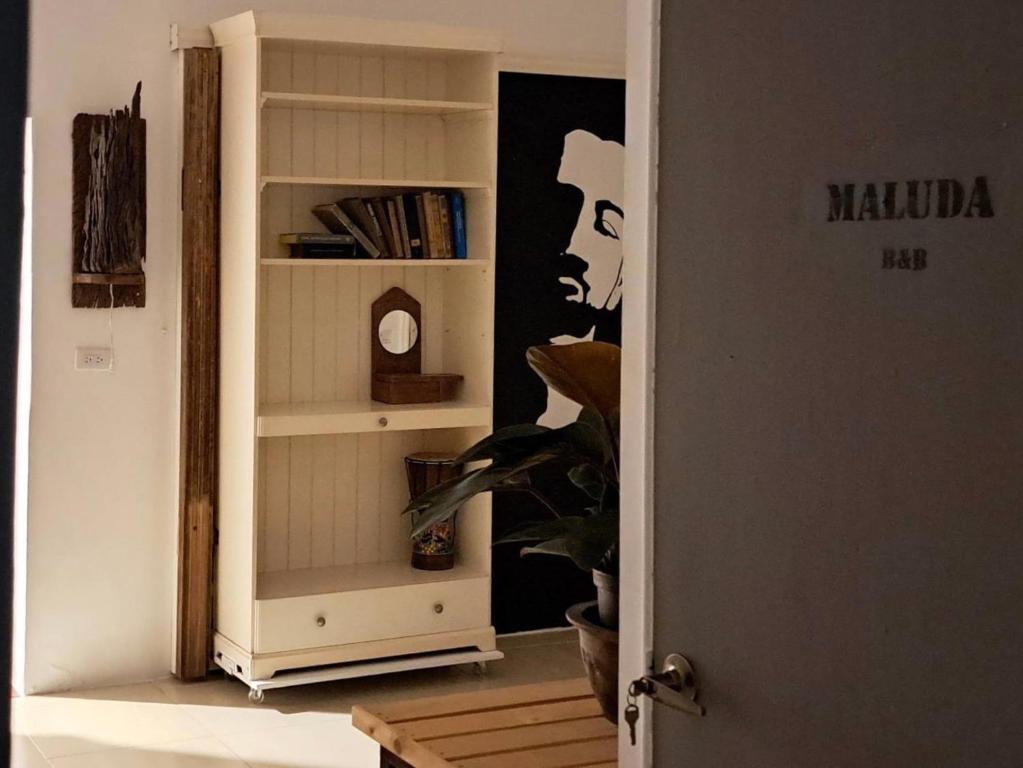 太麻里马鲁大民宿的一间房间,书架上挂着一张女人的照片