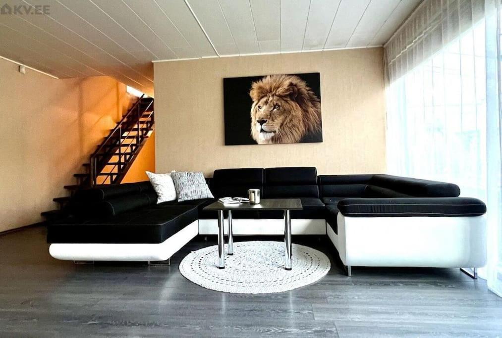 塔林Villa的客厅墙上挂有狮子画