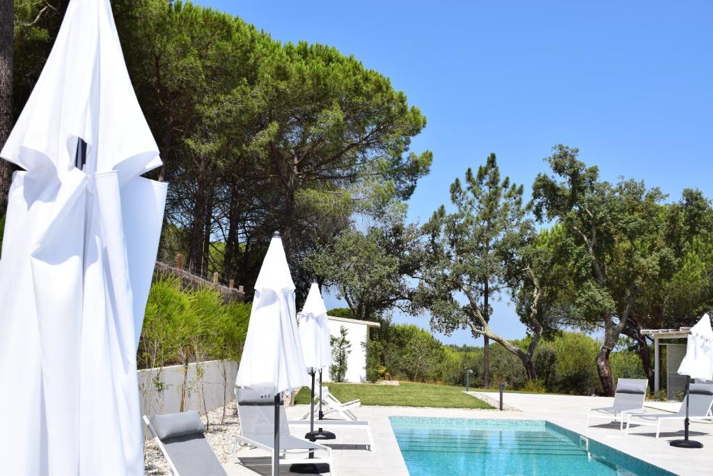 梅利迪什À Espera - Turismo Rural,Melides的游泳池旁的游泳池配有白色遮阳伞和椅子
