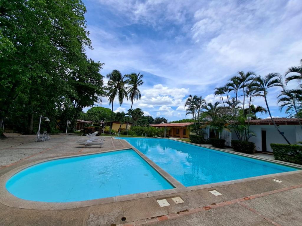 利比里亚埃斯普埃拉斯酒吧餐厅酒店的棕榈树庭院里的一个大型游泳池