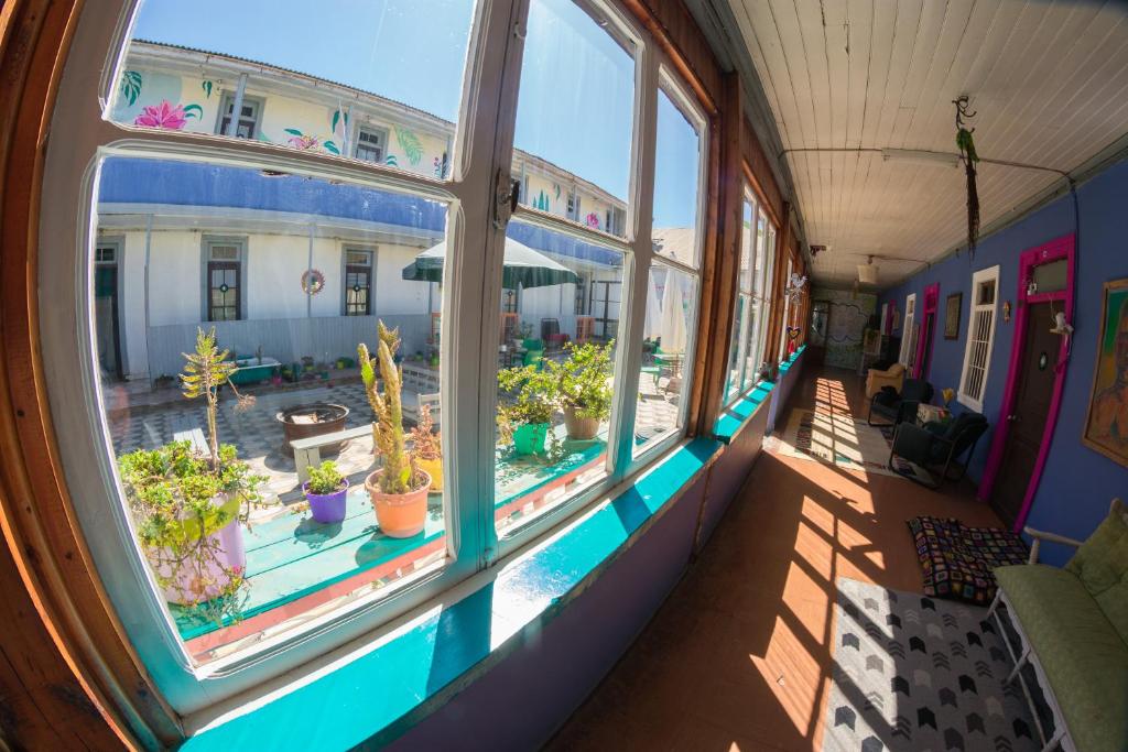 皮奇勒姆Bichon La Casa Hostal的一间空房间,有窗户和盆栽植物
