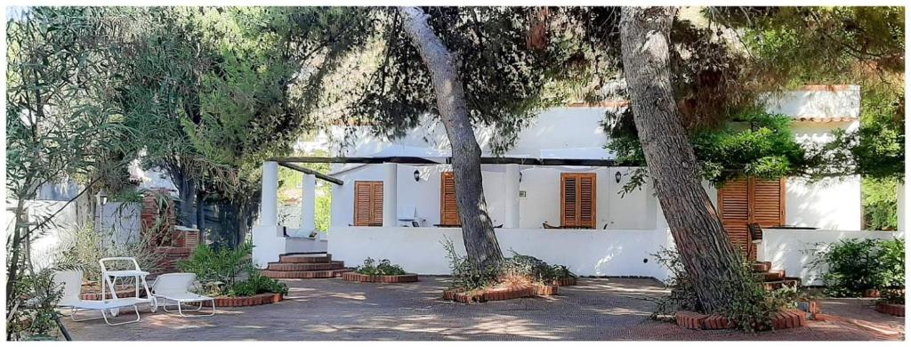 弗卡诺Villa il Glicine的前面有树木和椅子的白色房子