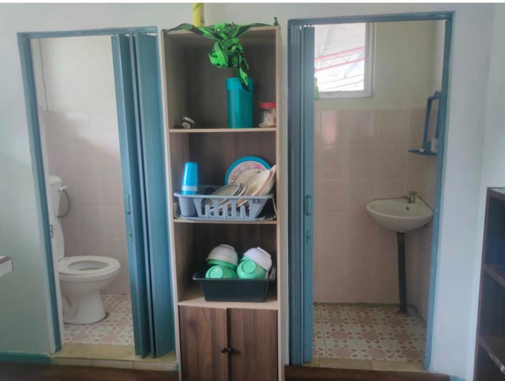 拉瑙MAK Homestay DOWNSTAIRS的带淋浴、卫生间和盥洗盆的浴室
