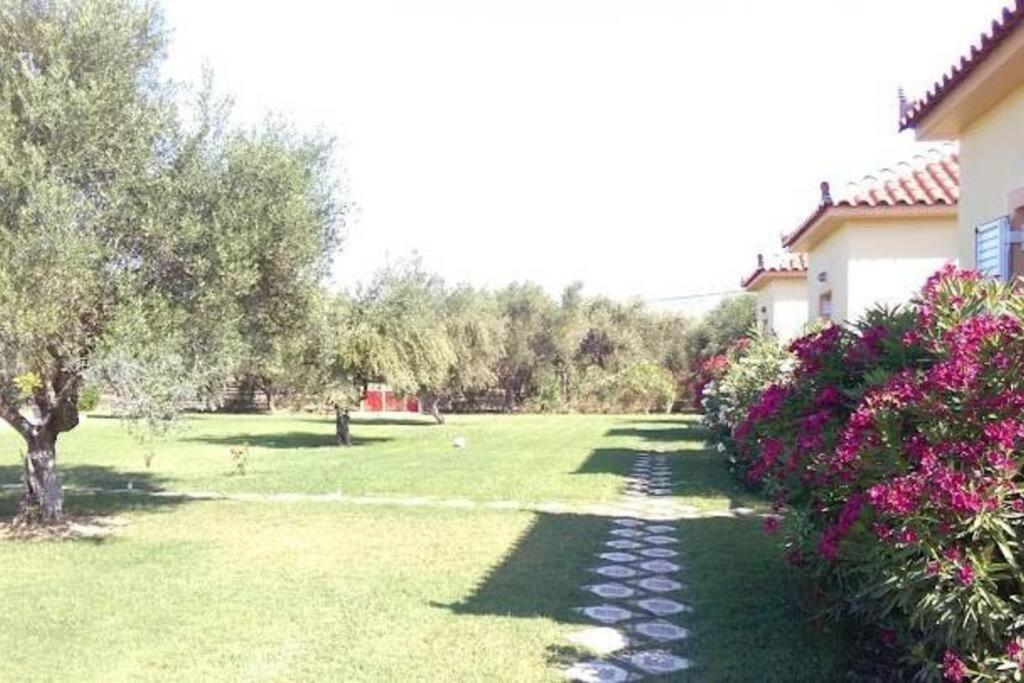扎哈罗Phyllida Guest House - A2的草场,有房子,树木和鲜花