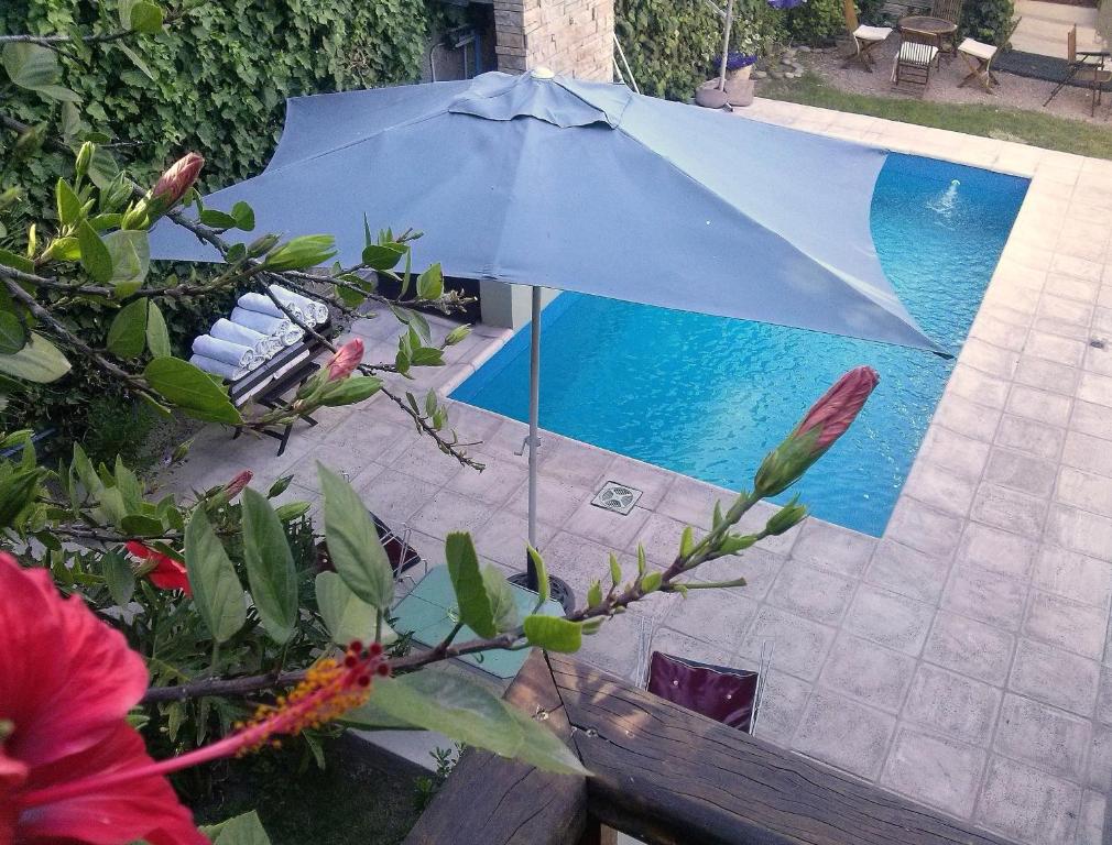 门多萨波希米亚精品酒店的游泳池旁的蓝伞