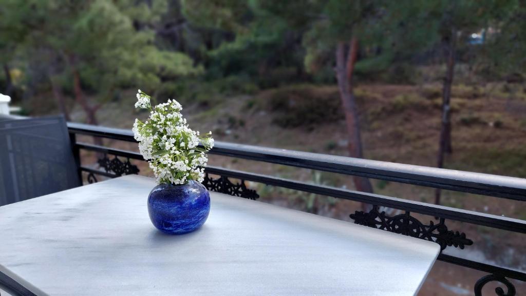 伊莱恩Evaggelia's Seaside Boutique Apartment的花朵坐在桌子上的蓝色花瓶
