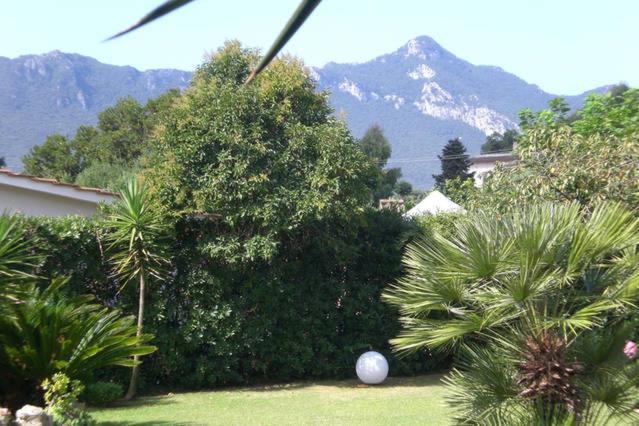 圣费利切-奇尔切奥Dependance in Villa的草丛中种满树木和白球的花园