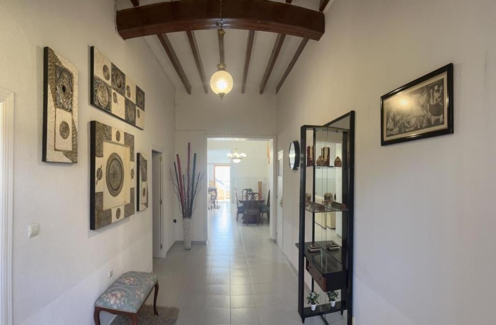 阿利坎特Casa Domínguez的墙上挂有照片的走廊