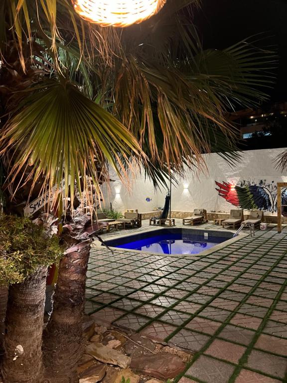 瓦迪穆萨Rafiki Hostel的游泳池旁的棕榈树