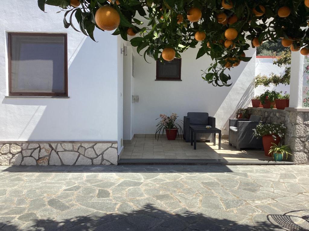 阿纳卡普里B&B Casetta Minghitto的一座带椅子的房子前面的橘子树