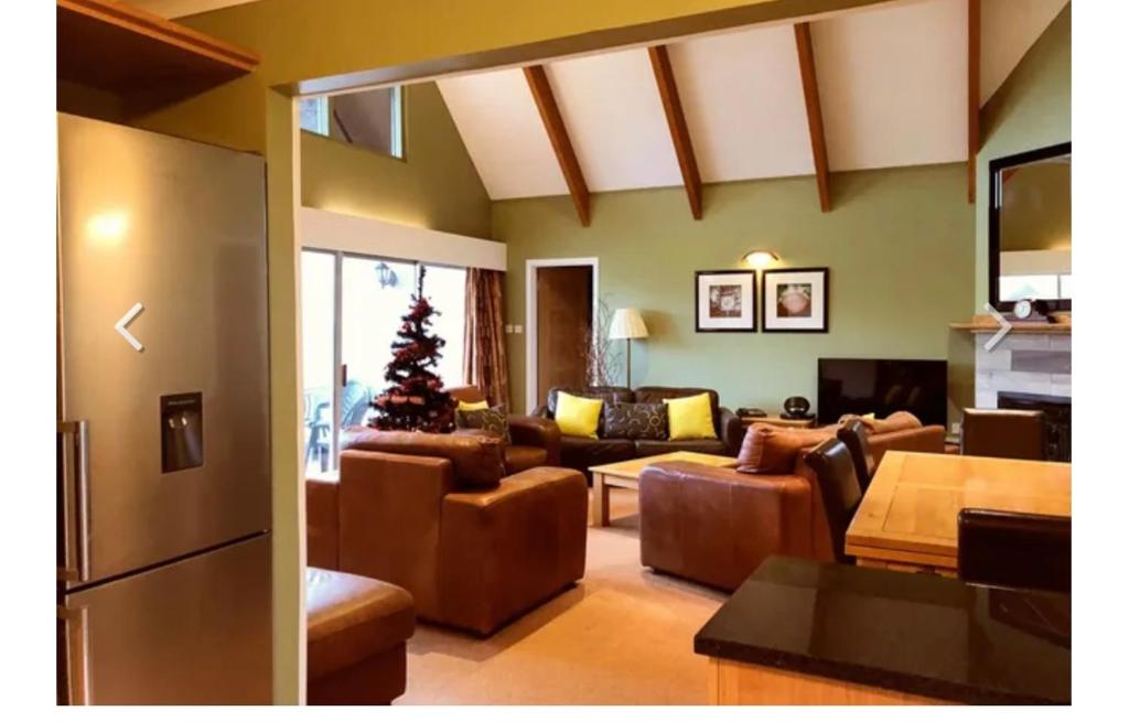 法夫Kilconquhar castle estate villa 7, 4 bed sleeps 10的带沙发和圣诞树的客厅