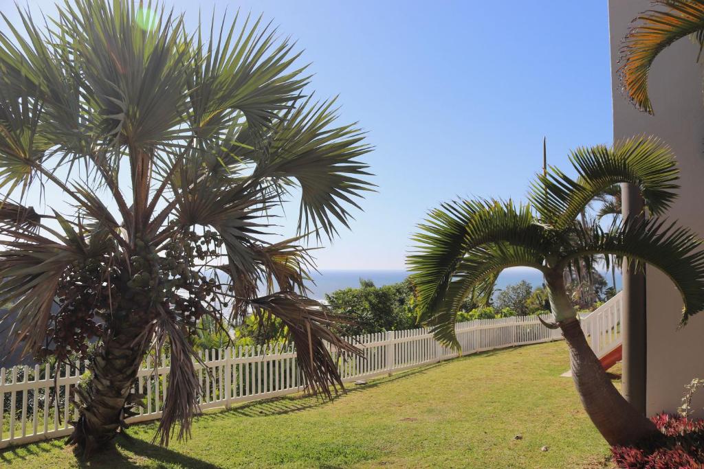 乌旺戈海滩Laguna la Crete 66的两棵棕榈树,在围栏旁的院子