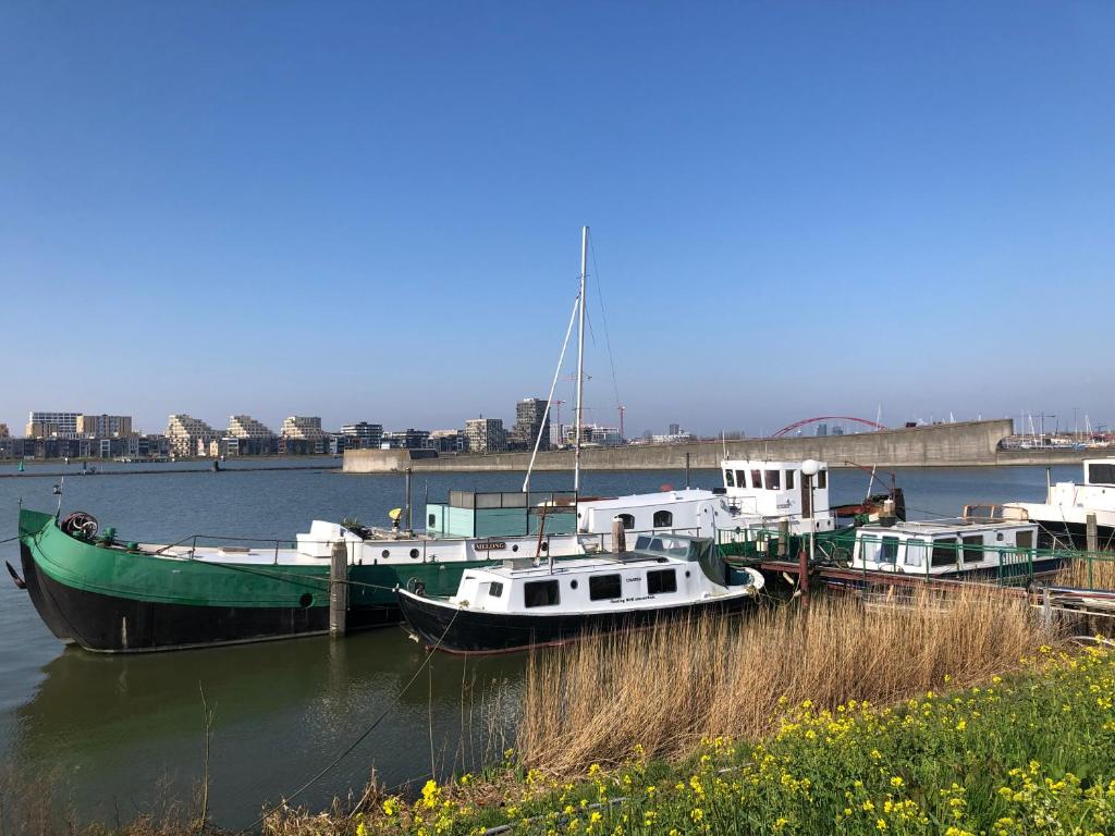 阿姆斯特丹阿姆斯特丹福鲁汀住宿加早餐旅馆的三个船停靠在水面上的码头