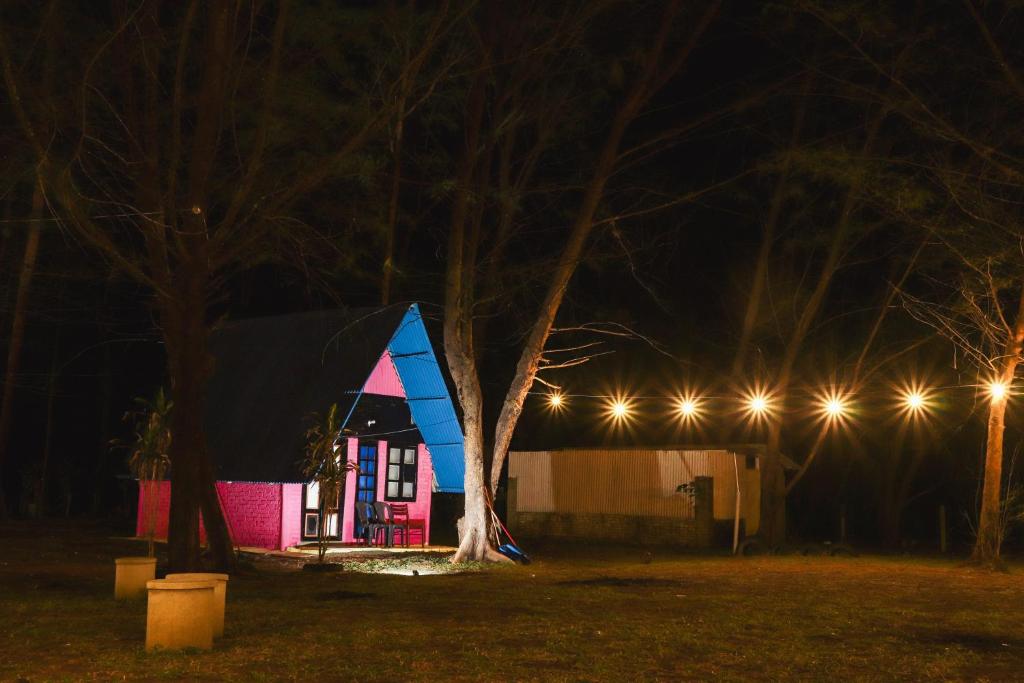 士兆Villa Uda @ SIBLINGS Cottage的夜晚有树和灯的小房子