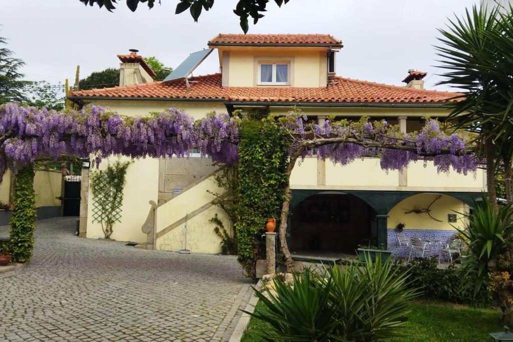 Vitorino das DonasCasa da Garrida的花花花环上的房子