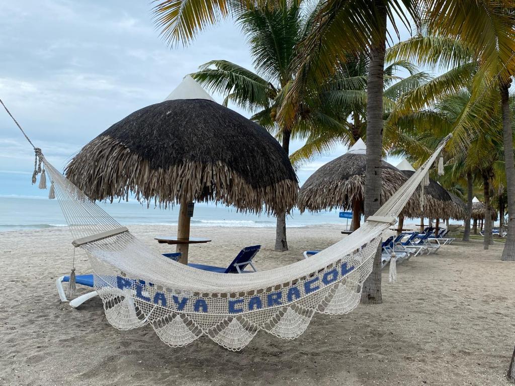 查梅Playa Caracol Chame的棕榈树和海洋海滩上的吊床