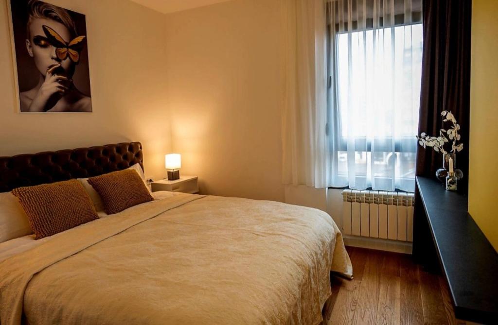 克拉列沃Apartment Leona的一间卧室设有一张大床和一个窗户。