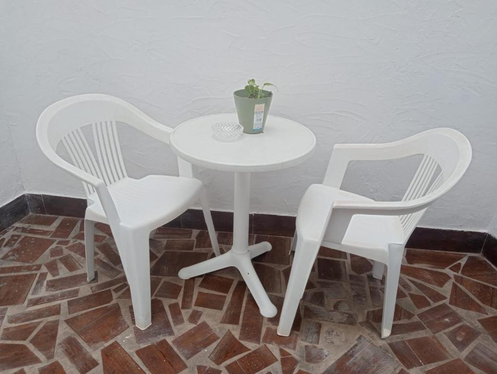巴尔韦尔德Mi Piriposa的两把白色椅子和一张桌子,上面有盆栽植物