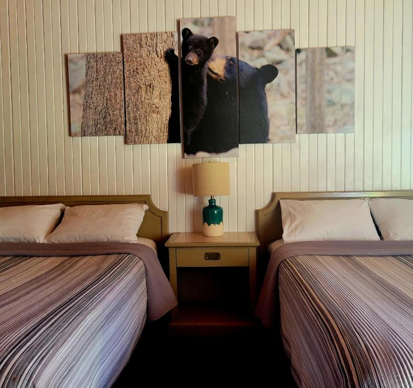 沃瓦High Falls Motel & Cabins的一间设有两张床的房间,墙上挂着一只熊