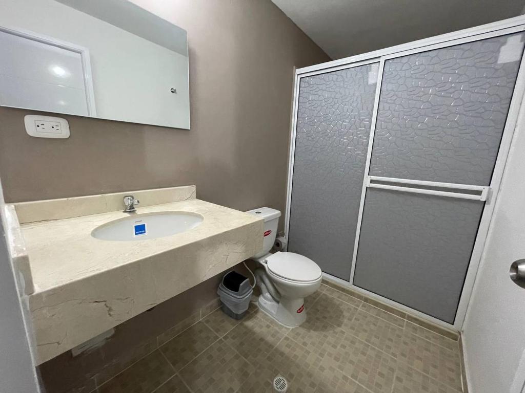 巴耶杜帕尔Hotel Valle Central的浴室配有卫生间、盥洗盆和淋浴。