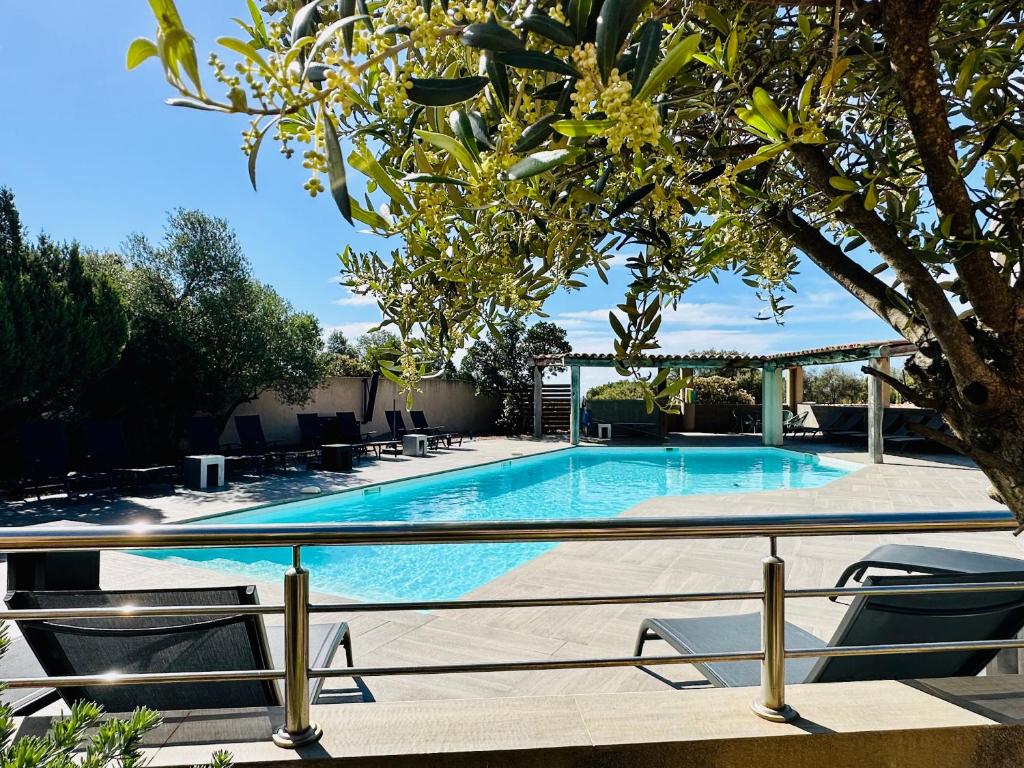 维琪奥港Residence Casa Di Paoli的一个带两把椅子和一棵树的游泳池